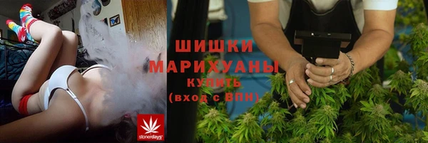 крисы Аркадак