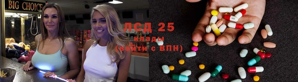 крисы Аркадак