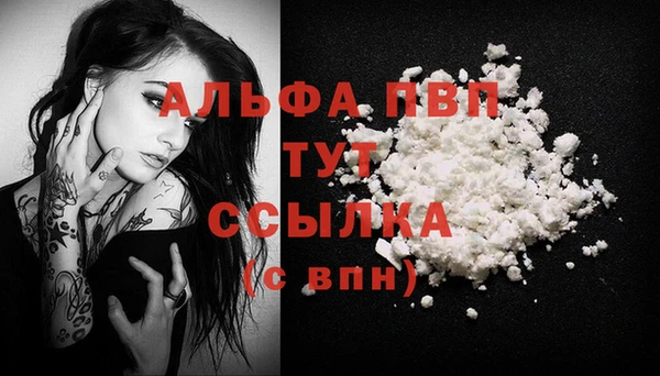 крисы Аркадак